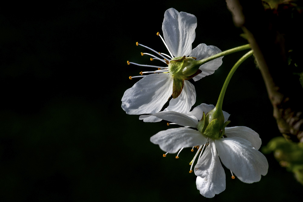 Platz 5 Robert Seitz